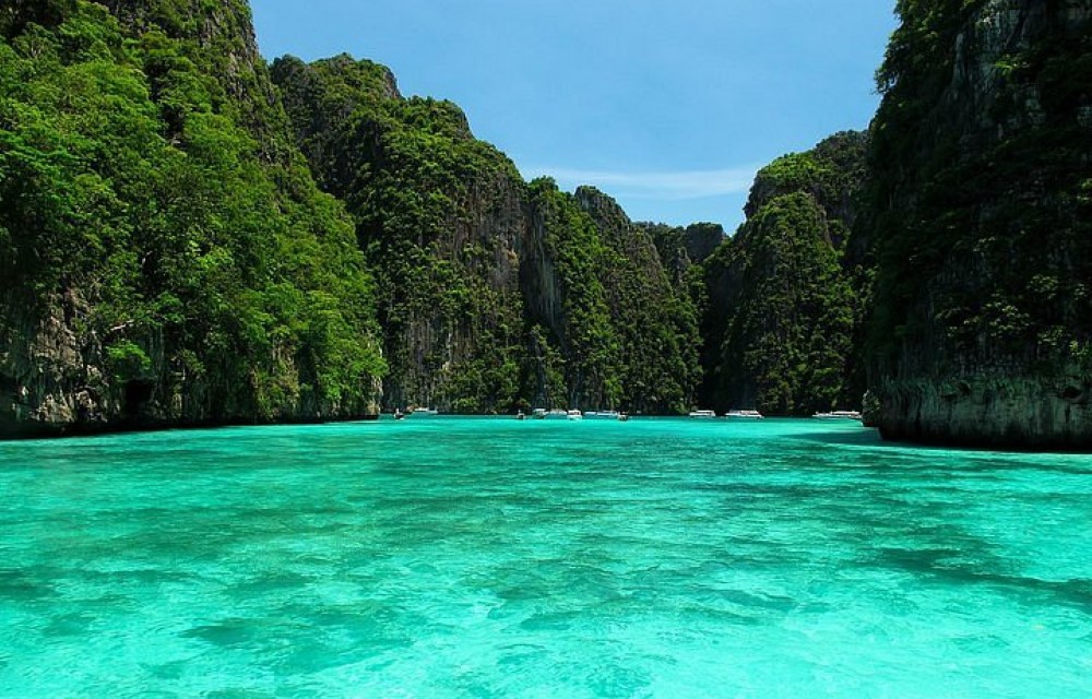 Phi Phi Islands in Mueang Krabi District Pictures
