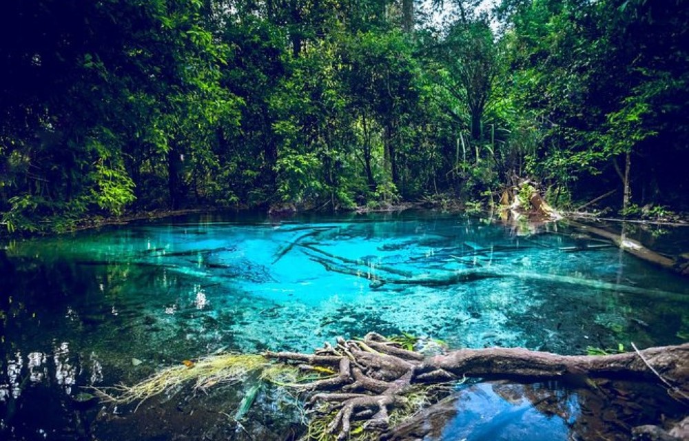 Emerald Pool in Mueang Krabi District Pictures