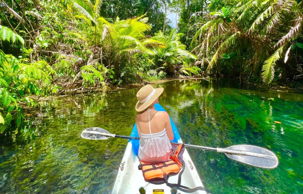 Klong Root Kayaking in Mueang Krabi District Pictures